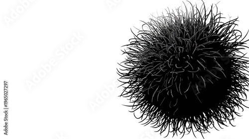 Stylized digital drawing of a black sphere with thin, spiky white and gray lines