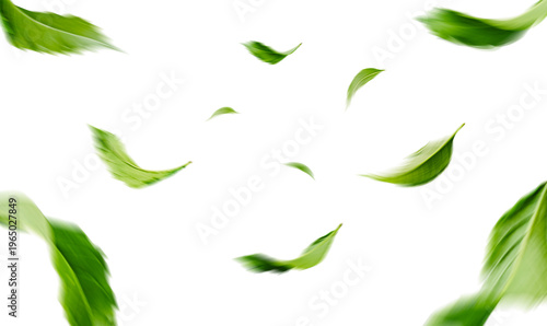 Green Floating Leaves Flying Leaves Green Leaf Dancing, Air Purifier Atmosphere Simple Main Picture.