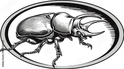 Detailed black and white illustration of a beetle inside a textured oval frame
