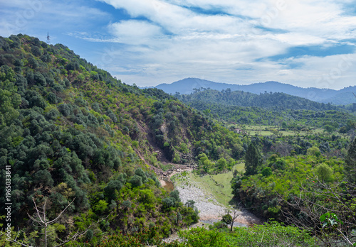 Lush Green Mountain Valley with River and Forest Hills Natural Scenic Landscape Background