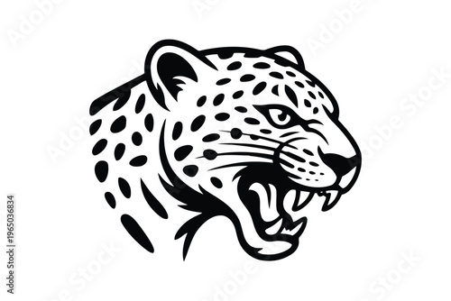 Black and white jaguar head with snarling expression and spotted fur wild animal