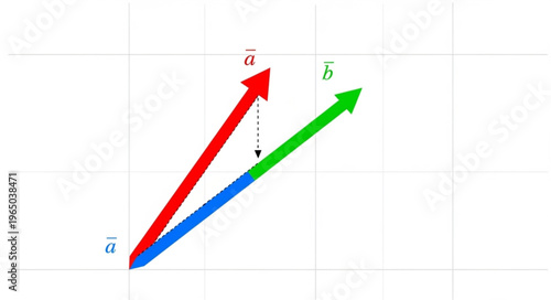 Vectors in Math Graphic.
