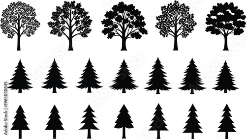 Large collection of black tree silhouettes including deciduous oak maples and coniferous pine fir spruce trees isolated on white background