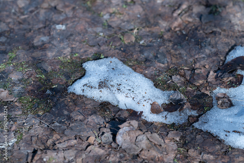 Photography Leafstrewn melting snow revealing wet leaf litter and dark soil, closeup capture