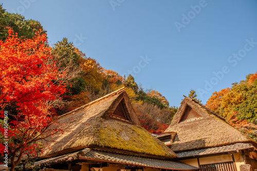 茅葺き屋根と紅葉