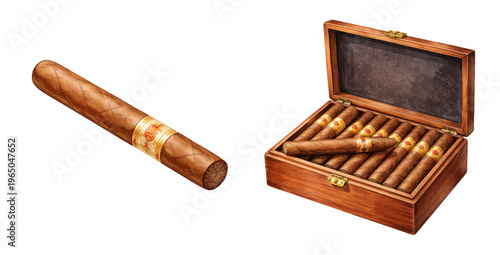 Watercolor cigar collection illustration, single cigar and wooden cigar box isolated on white background.