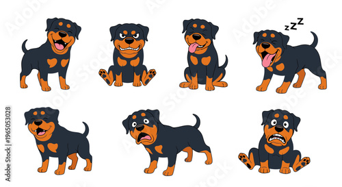 Rottweiler dog in various playful and sleeping poses on white background  