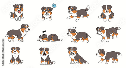 Australian Shepherd dog in various playful and relaxed poses  