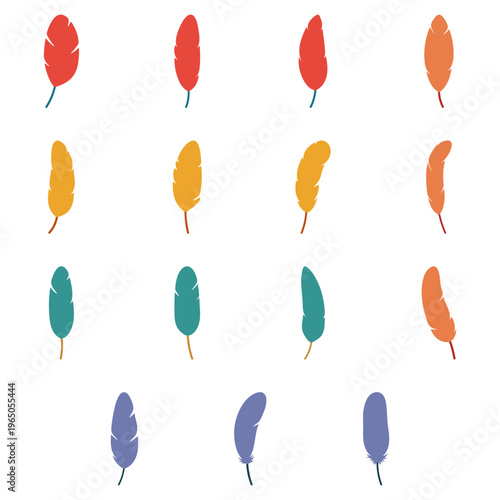 Collection of Colorful Feather Illustration