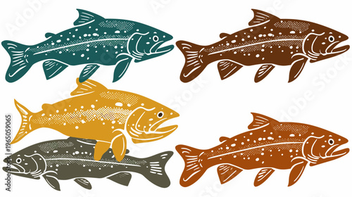 Four stylized fish illustrations, colored teal, brown, gold, and olive on white