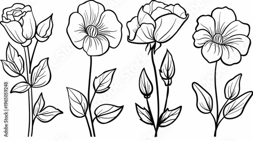 Line art illustration of four floral stems, leaves, and flower heads in black & white