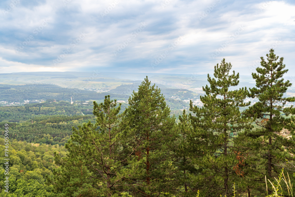 Fototapeta premium Summer Mountains Landscape with Green forest.