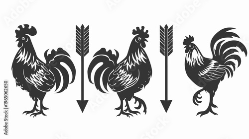 Silhouette drawing Three roosters and two arrows in a row on a white backdrop