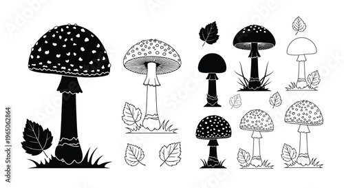 Black and white illustration of various amanita mushrooms and scattered leaves