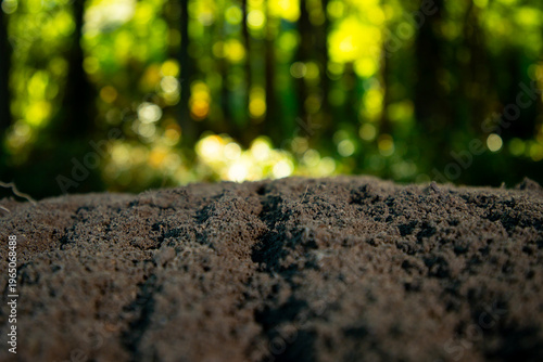 Valokuva Soil texture with green nature bokeh background