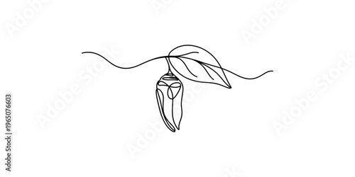 Continuous line drawing of an orchid flower with leaves on a stem plant leaf minimalist