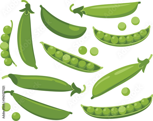 Green pea pods vector set, fresh garden peas collection with seeds healthy food design