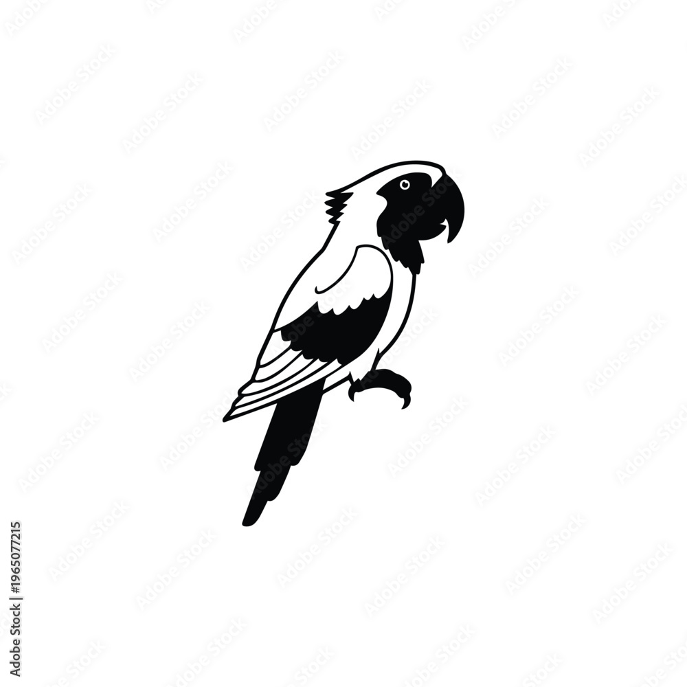 Fototapeta premium Black and white parrot silhouette standing on one leg bird animal