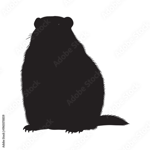 Black silhouette of a marmot sitting on transparent background