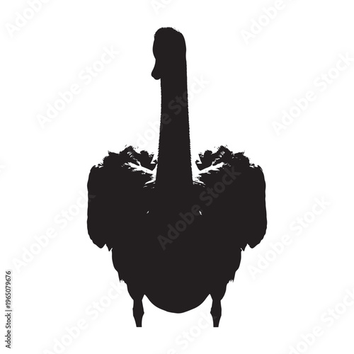 Silhouette of an ostrich standing on transparent background