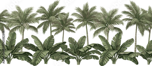 Vector tropical forest border with lush green palm trees and large banana leaves in a hand drawn vintage style for summer vacation exotic travel and botanical design.