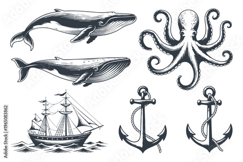 Black and white of whales octopus ship and anchors nautical