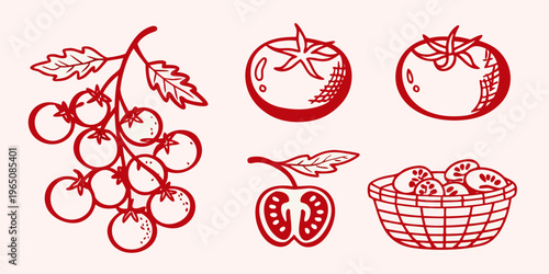 Red tomato illustration with a vine pepper and basket silhouette