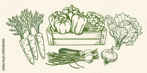 Fresh produce arrangement in a wooden crate sketched silhouette