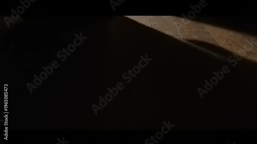 Brown wooden floor with sunlight beam.