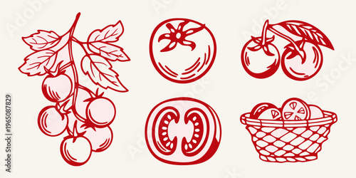 Red tomato illustrations with leaves and a basket graphic silhouette
