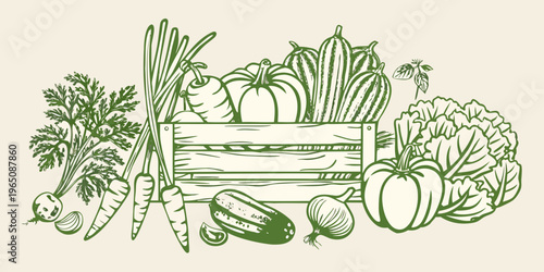 Fresh harvest of vegetables in a wooden crate hand drawn silhouette
