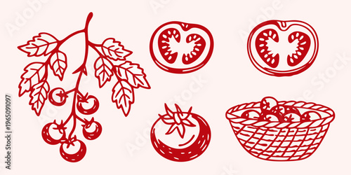 Red tomato illustrations with leaves and a basket a striking silhouette