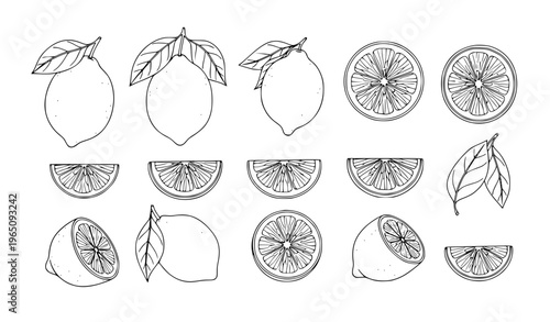 Hand drawn lemon and leaf outline vector set with whole sliced wedges and citrus fruit collection