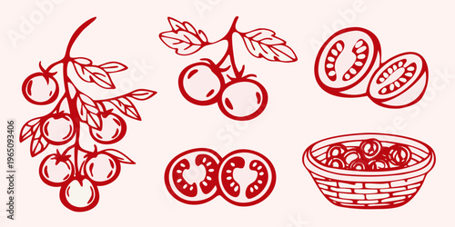 Red tomato illustrations with vine and basket a striking silhouette