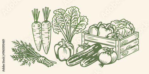 Freshly harvested vegetables arranged in a wooden crate silhouette