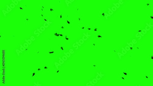 abstract black particles on green screen video. fragments. broken pieces.