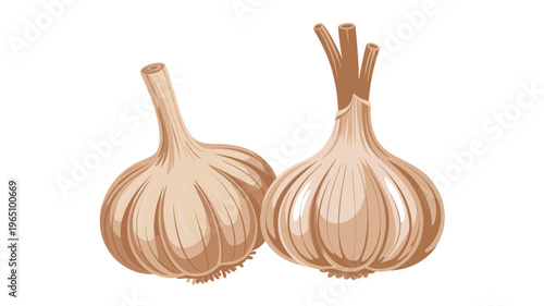 Garlic Bulbs Minimal Flat Style Vegetable Food Illustration Isolated