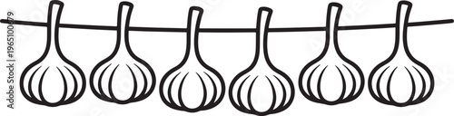 Garlic Bulbs Hanging on String Line Art Vegetable Harvest Illustration