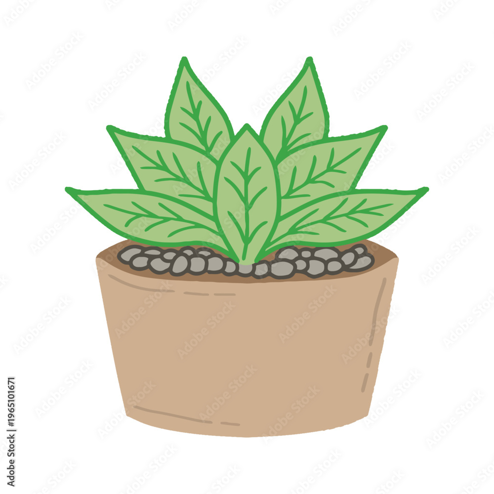 Obraz premium Potted succulent plant with green leaves vector illustration. Hand drawn minimalist flat style succulent icon for home and interior design