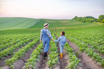 A woman in overalls and a child walk hand-in-hand through rows of green crops on a sunny day
