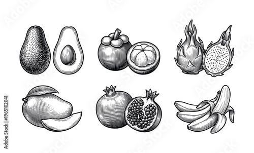 Set of tropical fruits in a vintage engraving style. Includes avocado, mango, banana, and more. Ideal for packaging, menus, and botanical designs.