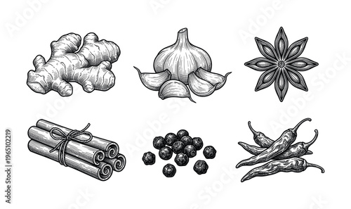 A set of hand-drawn spices in a vintage engraving style. Includes ginger, garlic, anise, cinnamon, pepper, and chili. Perfect for menus, packaging, and culinary designs.