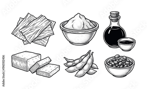 A hand-drawn vector set of soy food: tofu, miso, edamame, soy sauce, natto. Vintage engraving style for vegan menus, Asian cuisine packaging, or healthy food blogs.