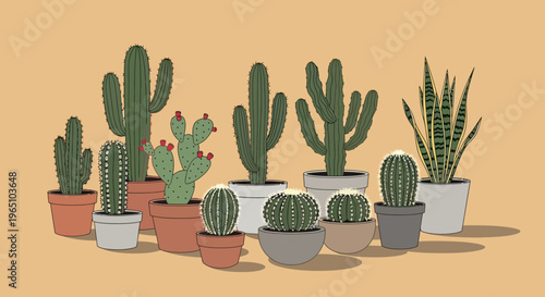 Vector eps illustration of various cacti plants in pots on a beige background