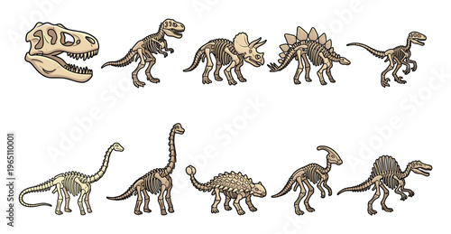 Dinosaur skeletons collection featuring various prehistoric creatures and a skull, showcasing different species in a detailed cartoon style illustration for educational purposes.