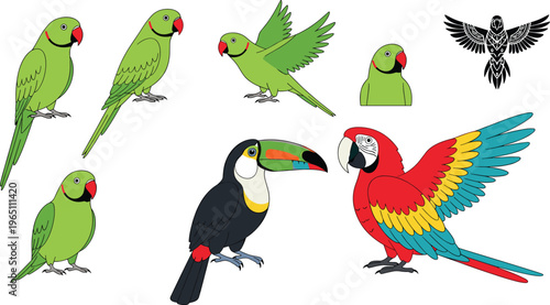 Exotic Tropical Bird Vector Collection with Parrots, Macaws, Toucans, and Colorful Cartoon Birds in Flying, Standing, and Perching Poses for Digital, Educational, and Nature Designs