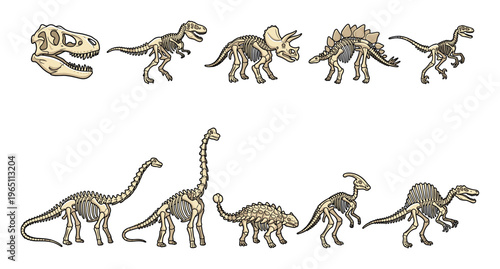 Various dinosaur skeletons and prehistoric fossil collection illustration showcasing different species from the Mesozoic Era for educational and historical themes.