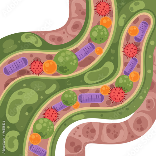 Human Gut Microbiome Illustration with Probiotics and Bacteria