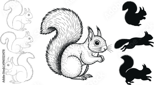 Sketch Style Squirrel Illustrations with Different Poses and Silhouettes