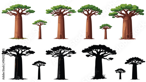 Collection of baobab tree illustrations shown in both realistic green colors and solid black silhouettes for various design needs.
